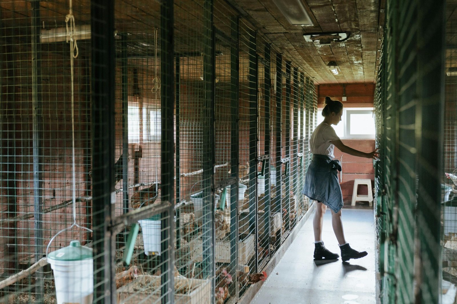 How much does poultry pen fencing cost in Nigeria