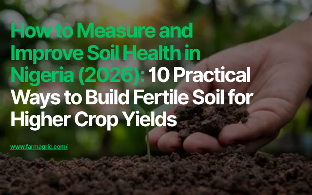How to Measure and Improve Soil Health in Nigeria (2026) 10 Practical Ways to Build Fertile Soil for Higher Crop Yields