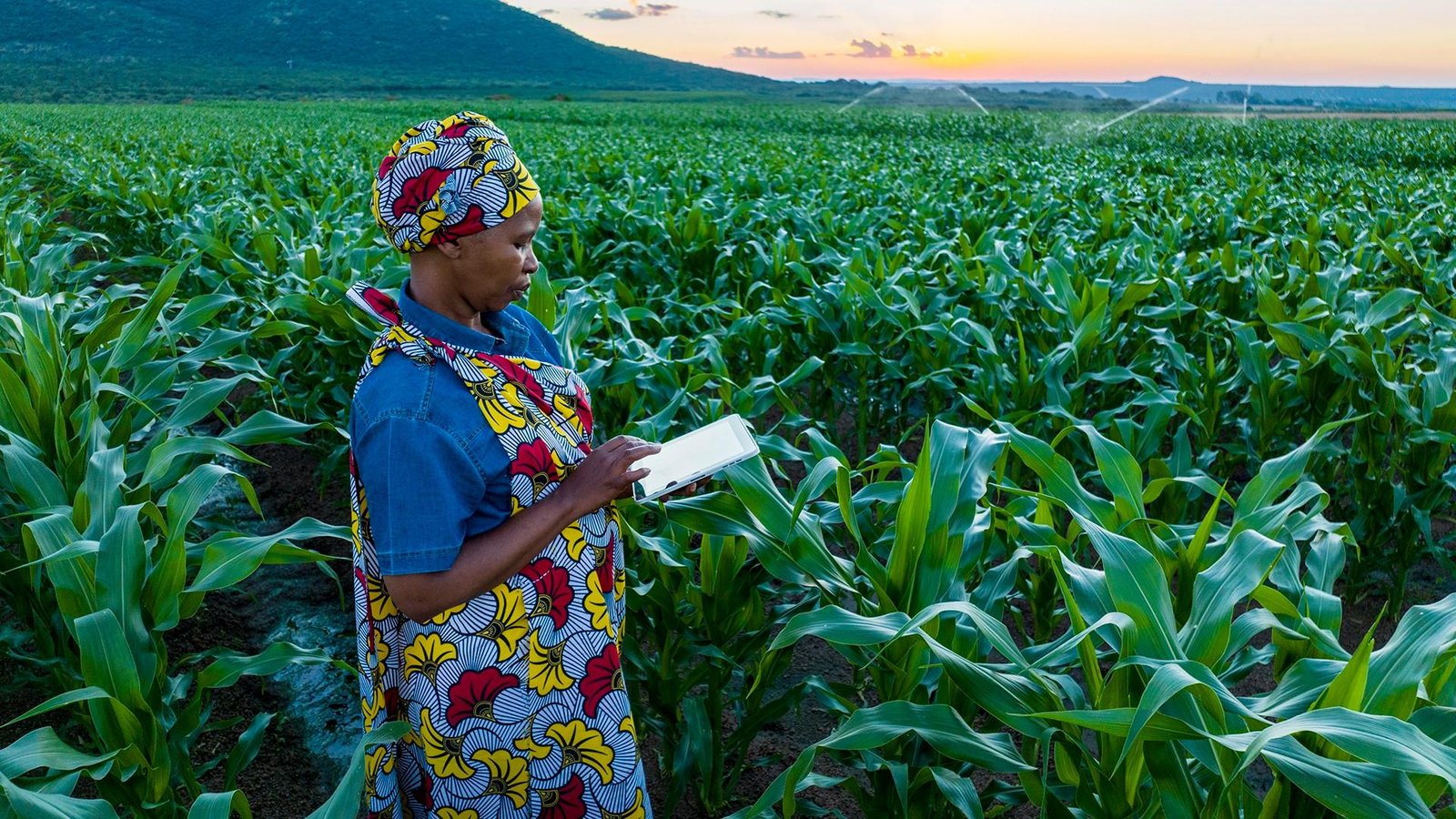 Free Farming and Agricultural Calculators A Complete Guide to Using Them Correctly