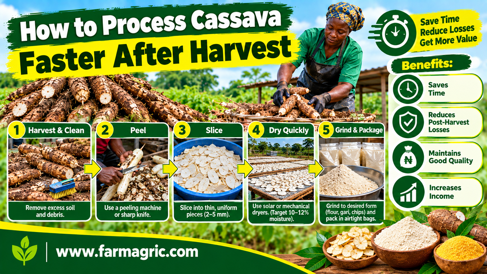How to Process Cassava Faster After Harvest