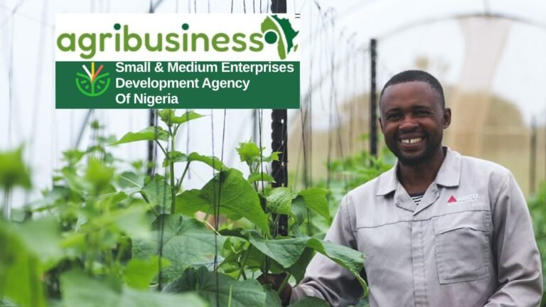 Agribusiness Funding in Nigeria: Loans, Development Banks and Investment for Agro-Processors