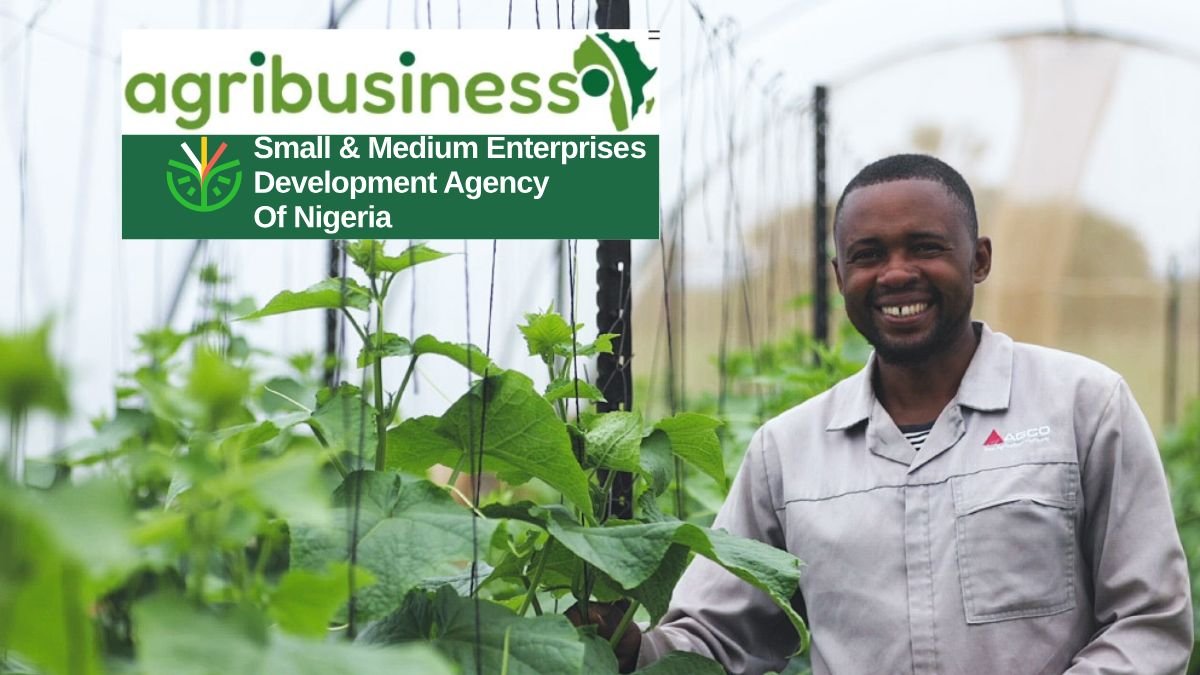 Agribusiness Funding in Nigeria: Loans, Development Banks and Investment for Agro-Processors