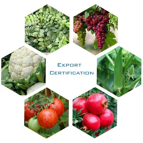 Agricultural Export Certification in Nigeria What Exporters Need to Understand