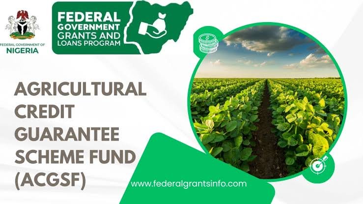 Agricultural Financing Opportunities in Nigeria: Where Farmers Can Find Funding