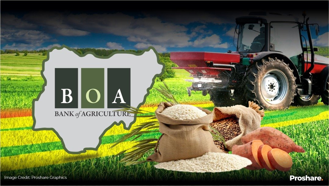Bank Loans for Farmers in Nigeria: What Commercial Banks Look For and How to Qualify