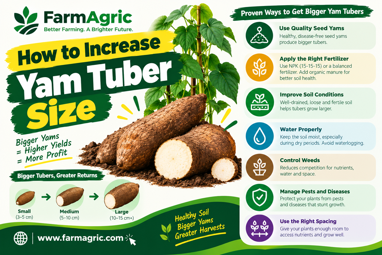 How to Increase Yam Tuber Size