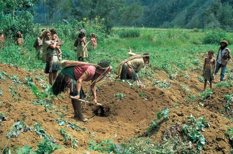 Can AI Replace Traditional Farming Knowledge What Farmers Need to Know