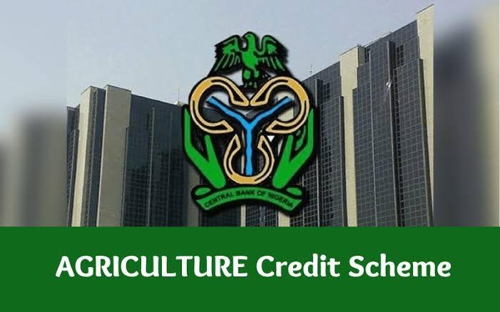 Agricultural Loans in Nigeria: Where Farmers Can Get Funding and How to Apply