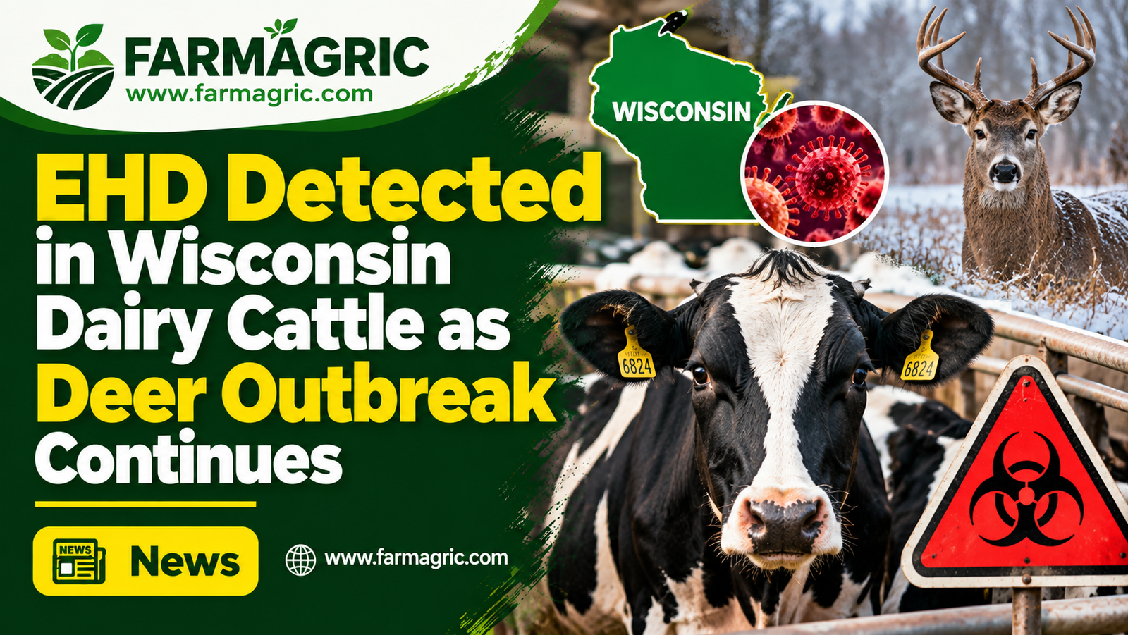 EHD Detected in Wisconsin Dairy Cattle as Deer Outbreak Continues