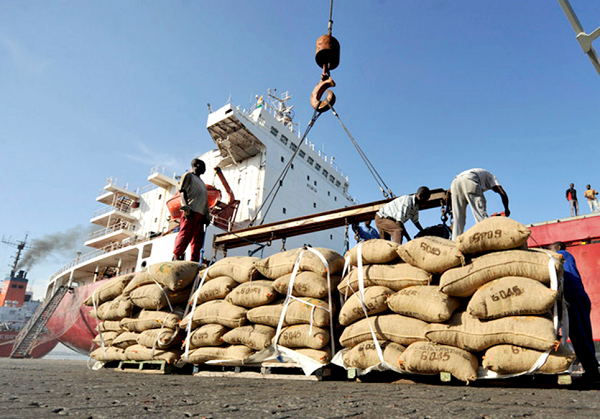 European Union(EU) Cocoa Export Rules in 2026 What Nigerian Farmers and Exporters Need to Know