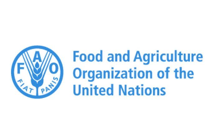 FAO Young Talent Programmes: Internship, Volunteer, Fellows, JPO and Young Professionals Opportunities
