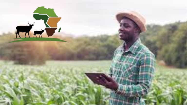 Farm Loans in Africa: Where Farmers Can Borrow in Kenya, Ghana, Tanzania, South Africa and Uganda