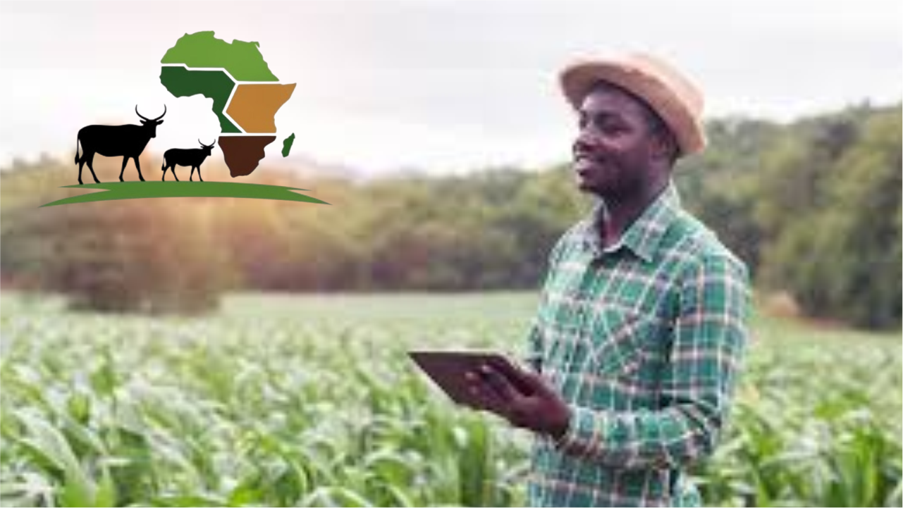 Farm Loans in Africa: Where Farmers Can Borrow in Kenya, Ghana, Tanzania, South Africa and Uganda