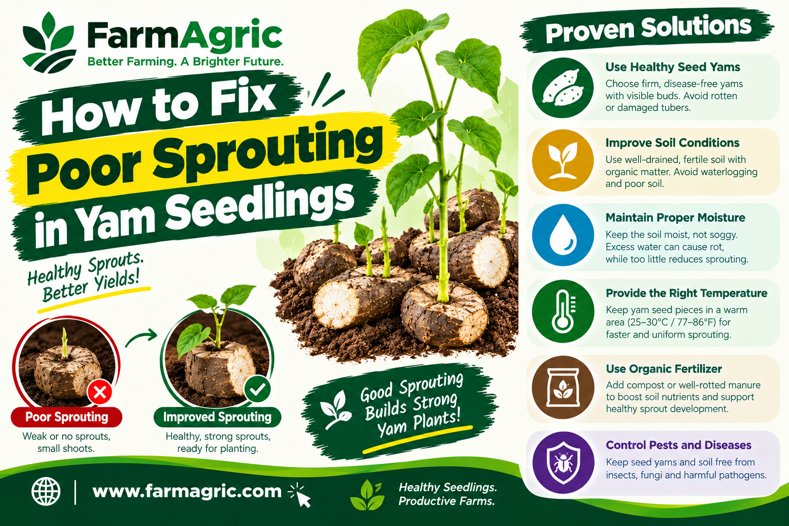 How to Fix Poor Sprouting in Yam Seedlings