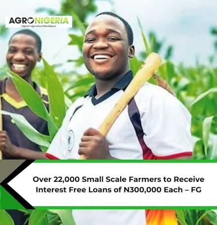 Government Agricultural Loans in Nigeria: Programs, Eligibility and How to Apply