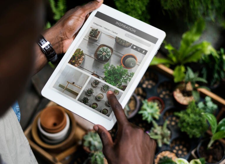 How Farm Software Can Help Farmers Calculate Cost Per Hectare?