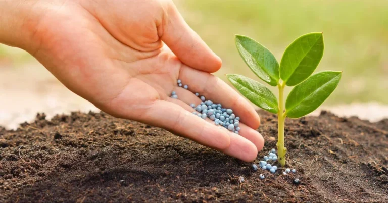 How Farmers Can Use AI to Improve Fertilizer Application