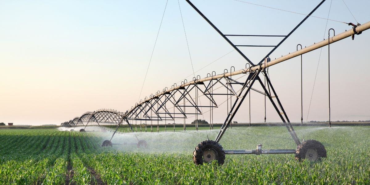 How Much Does Precision Irrigation Cost for a 10-Hectare Farm in Nigeria