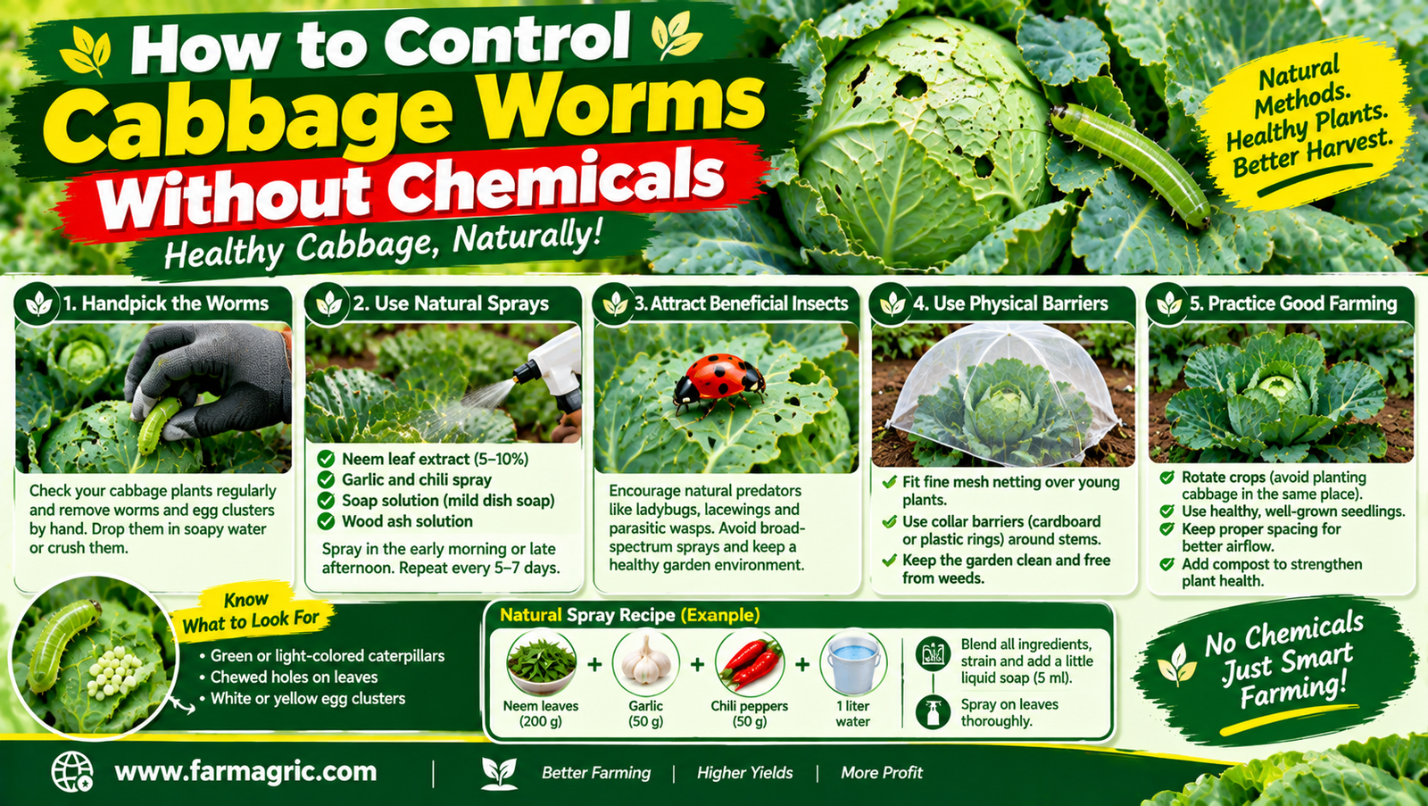 How to Control Cabbage Worms Without Chemicals