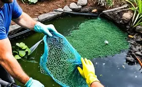 How to Control Poor Water Quality in Fish Ponds