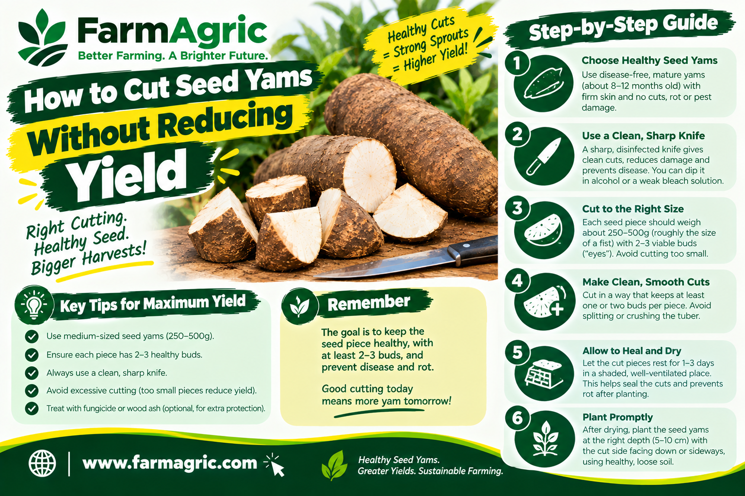 How to Cut Seed Yams Without Reducing Yield