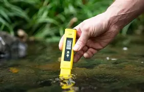 How to Fix Low Oxygen Levels in a Fish Pond