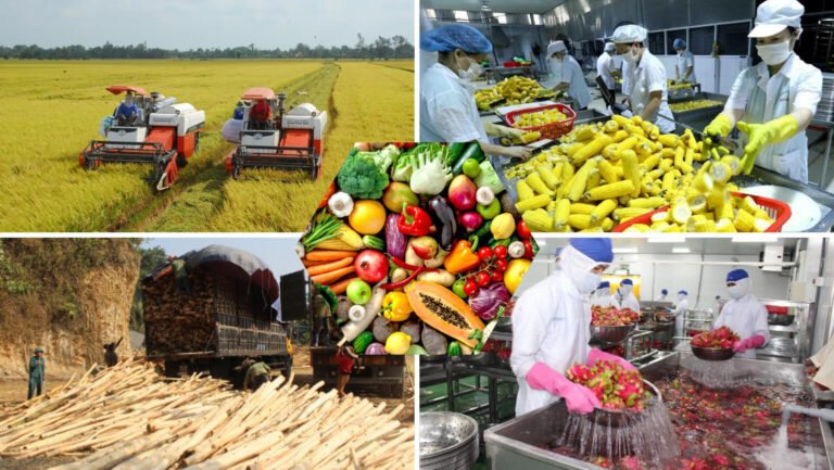How to Prepare Farm Produce for Export Quality, Storage and Handling