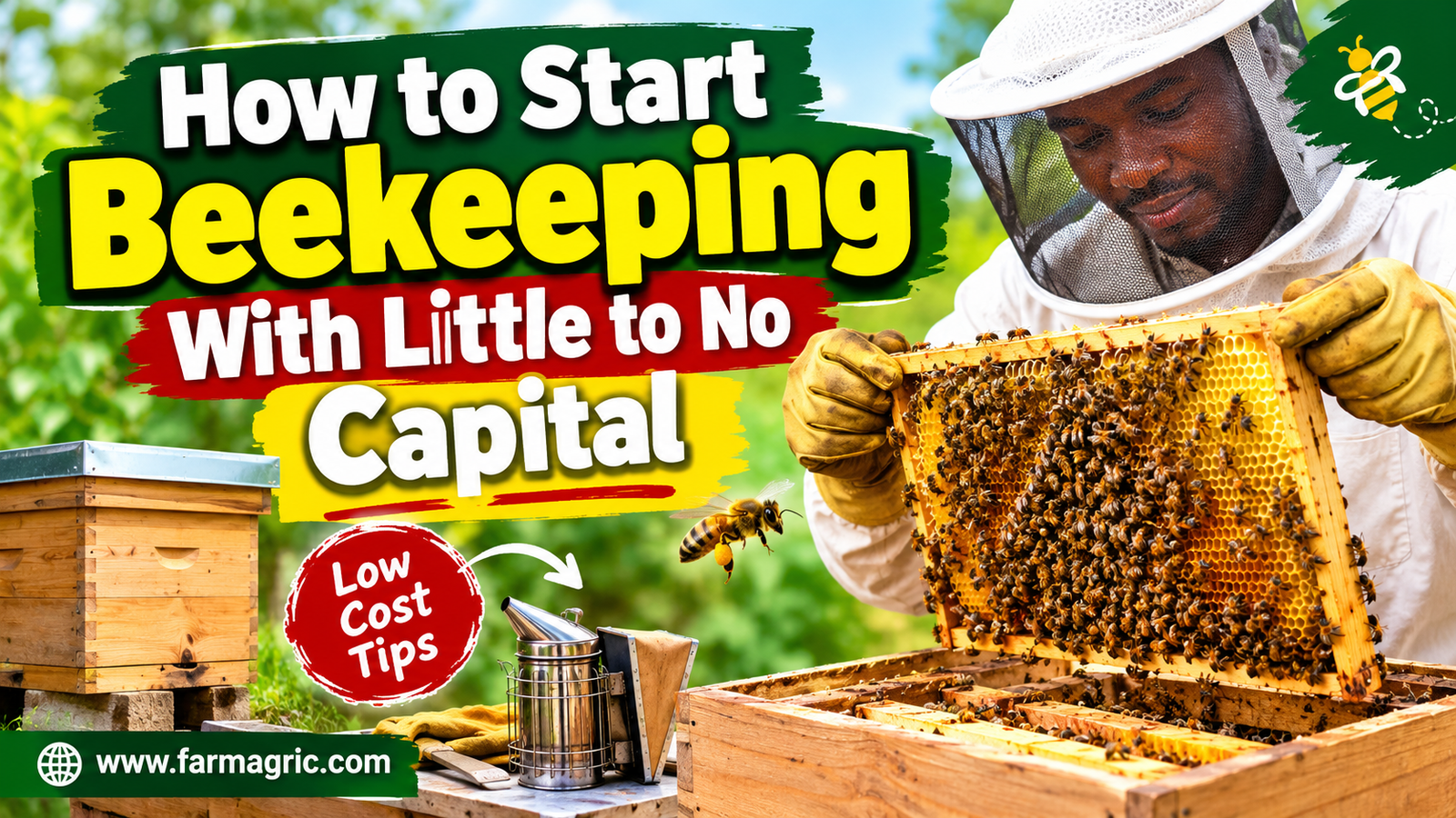 How to Start Beekeeping With Little to No Capital