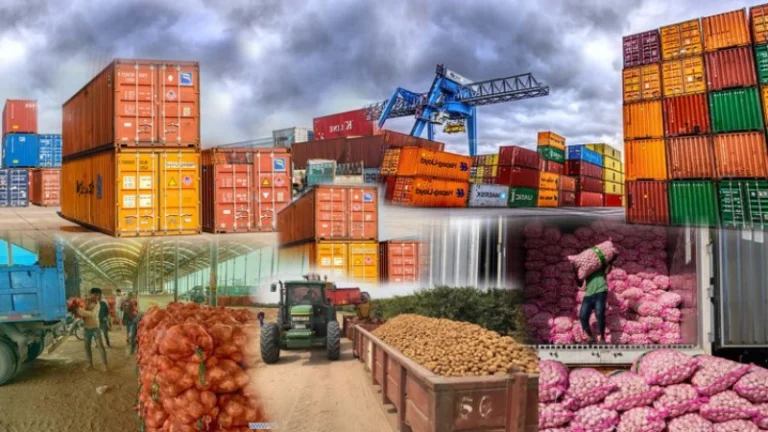 How to Start Exporting Farm Products - Top Crops, Markets and First Steps