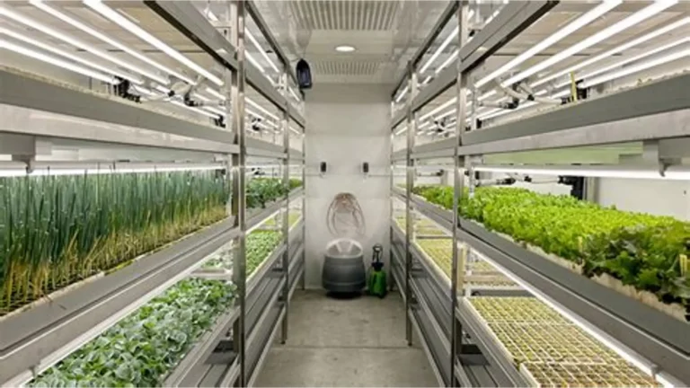 How to Start a Smart Farm From Scratch