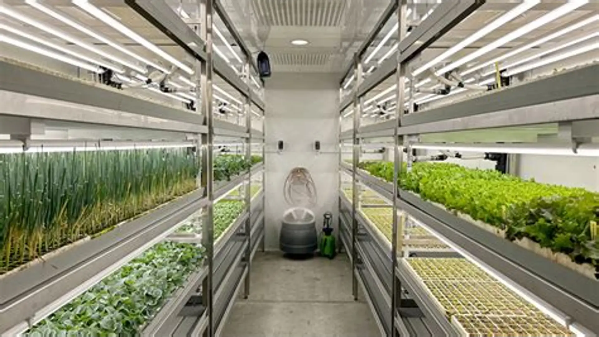 How to Start a Smart Farm From Scratch
