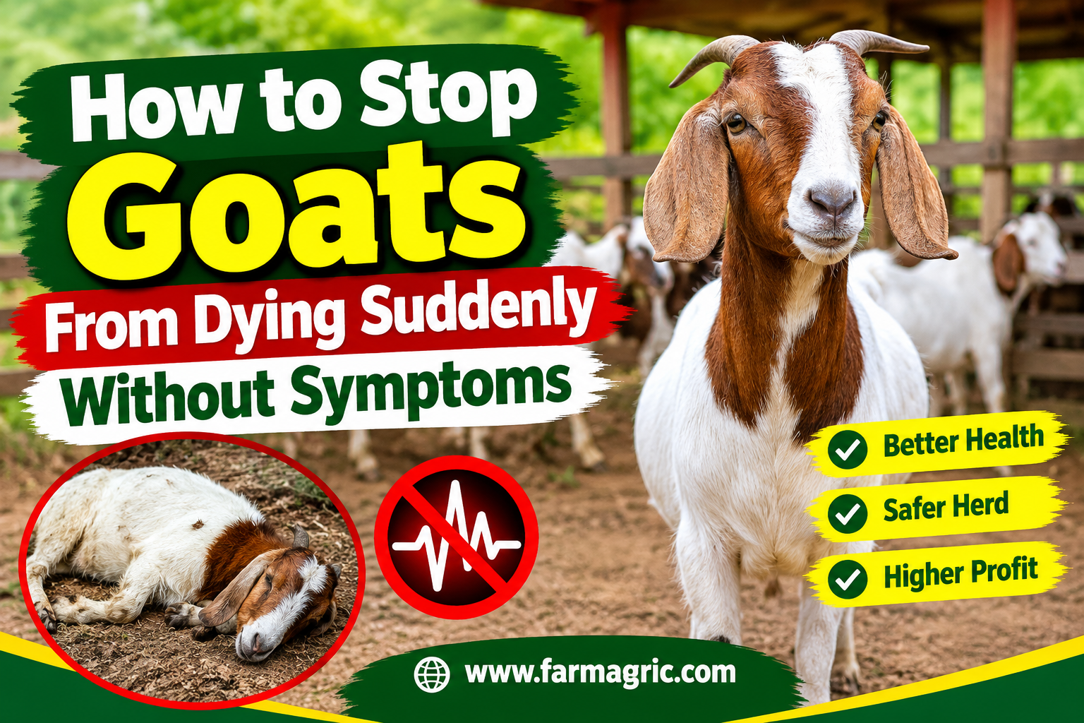 How to Stop Goats From Dying Suddenly Without Symptoms