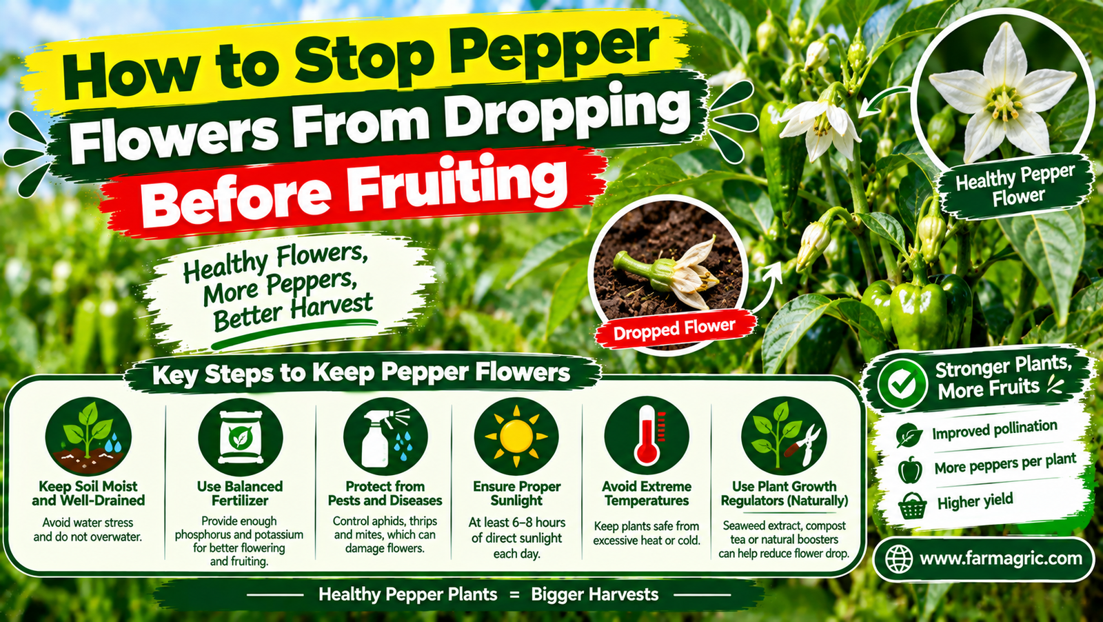 How to Stop Pepper Flowers From Dropping Before Fruiting