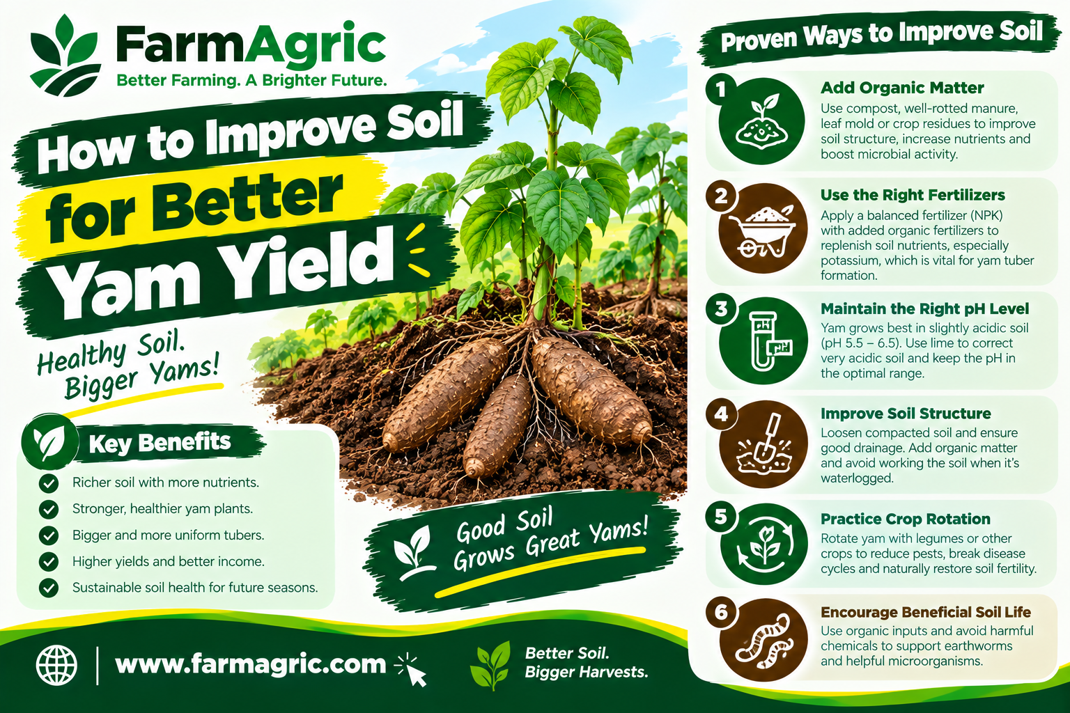 How to Improve Soil for Better Yam Yield