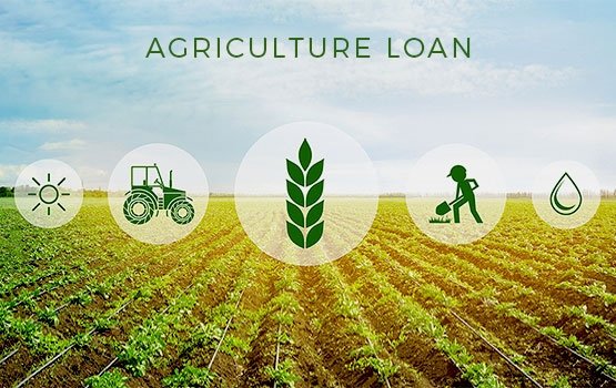 Microfinance Loans for Farmers in Nigeria: How They Work, Costs and How to Borrow Safely
