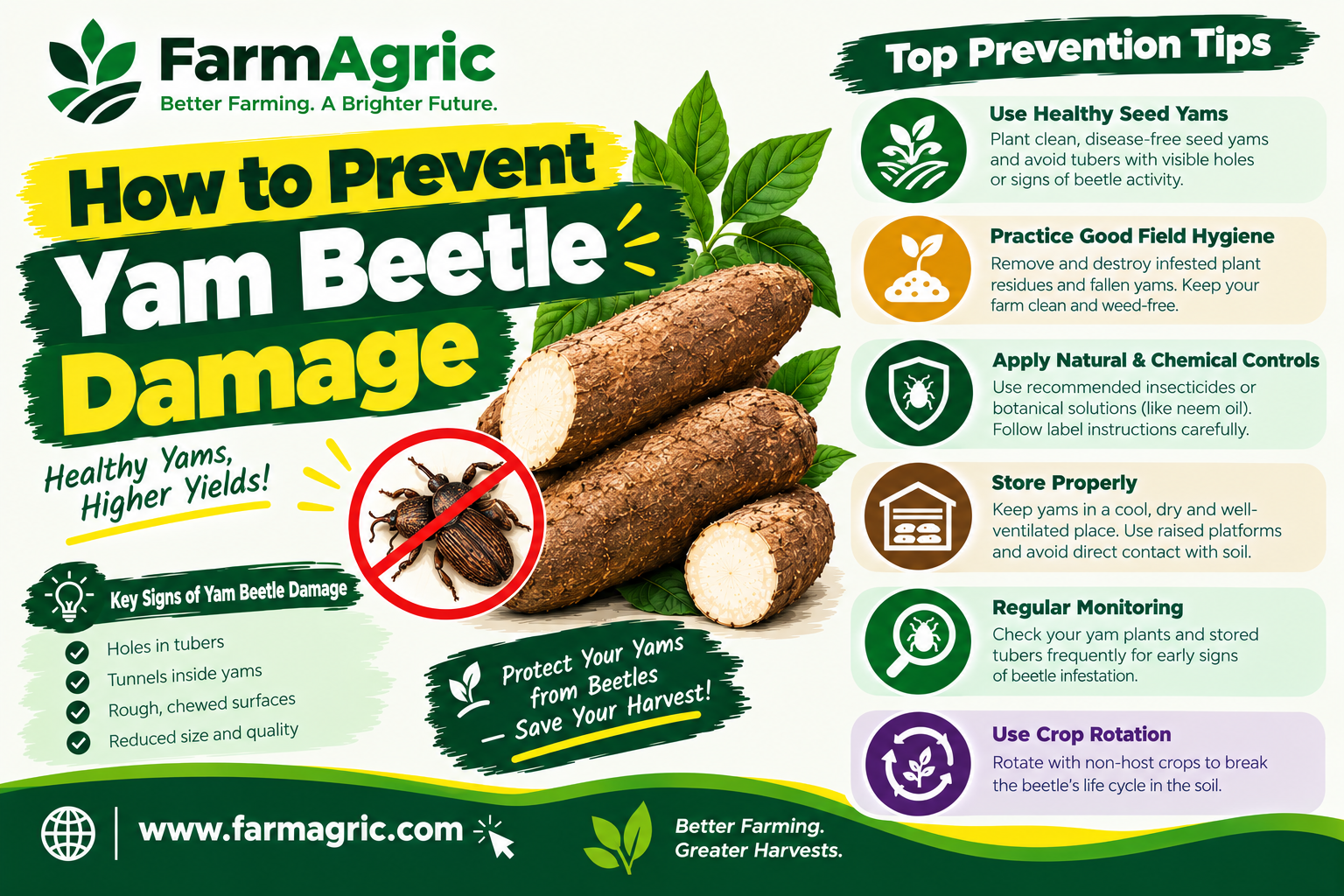 How to Prevent Yam Beetle Damage
