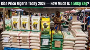 Rice Price in Nigeria Today: 50kg Bag, 25kg and Paddy Prices