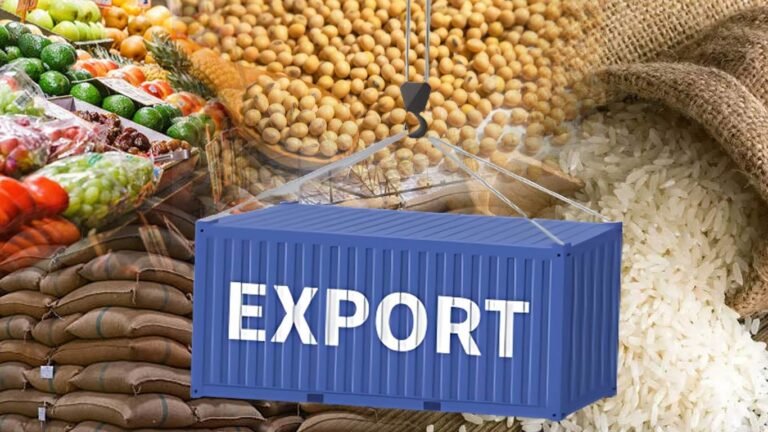 Top 10 Agricultural Products Nigeria Exported in Q2 2026