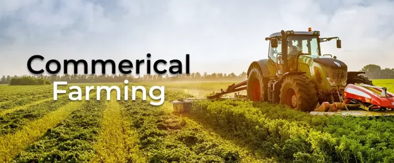 How Farm Management Software Helps Track Farm Expenses