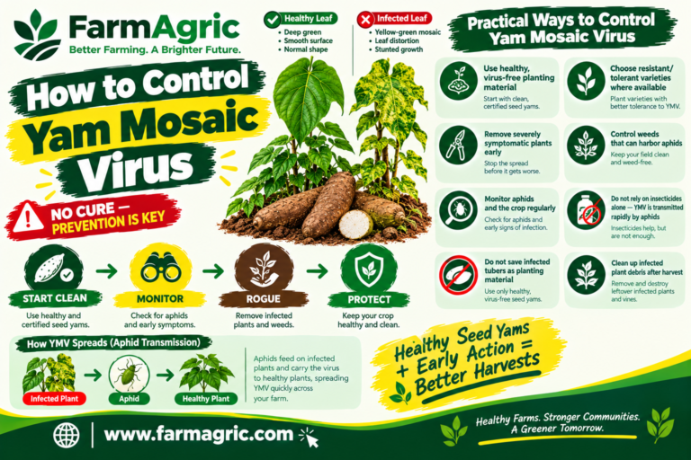 How to Control Yam Mosaic Virus