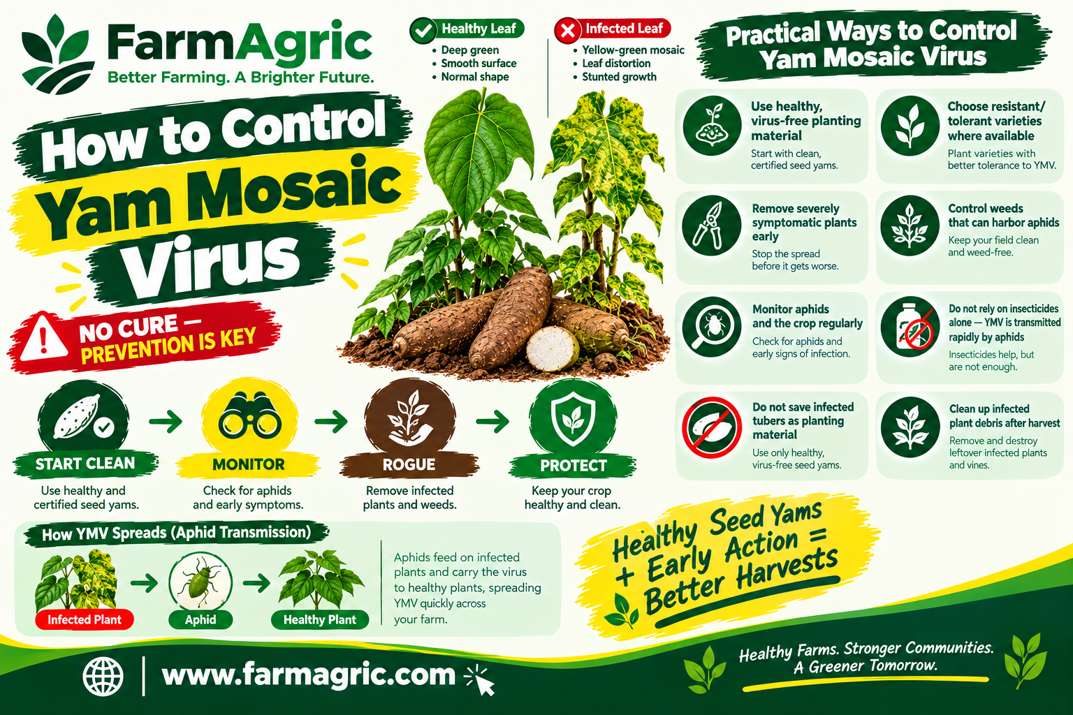 How to Control Yam Mosaic Virus