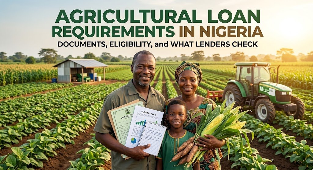 Agricultural Loan Requirements in Nigeria: Documents, Eligibility and What Lenders Check